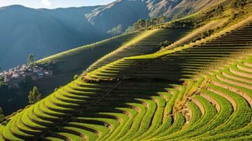 Террасирование склонов