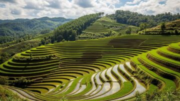 Террасирование участка