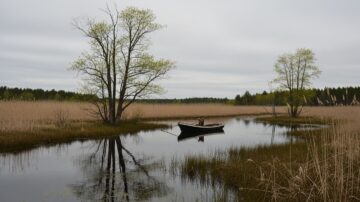 Создание болота