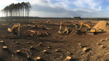 Расчистка участка от деревьев