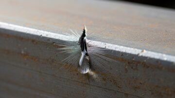 Разработка выемок